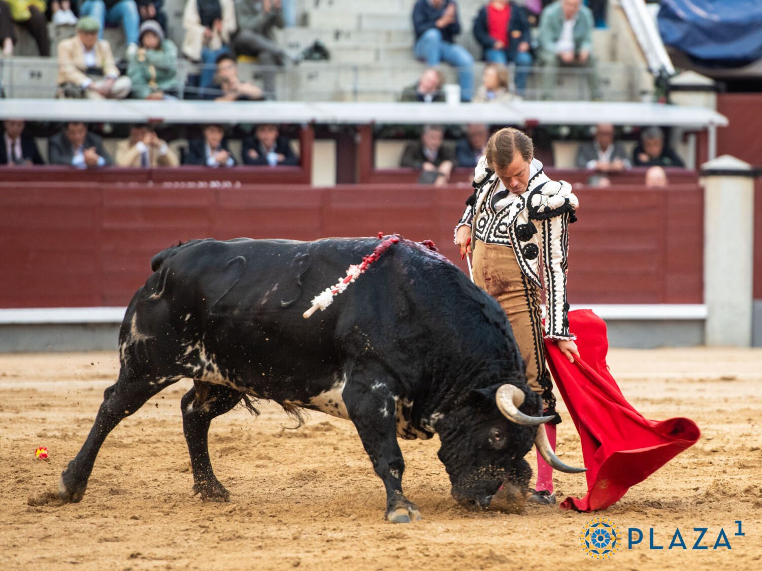 Javier Cortés y el triunfo del sentimiento: «Sentir el toreo en Madrid es un privilegio único»