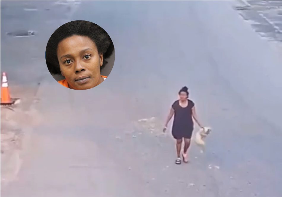 Crueldad en Florida: Arrestan a mujer tras agredir brutalmente a un cachorro ante cámaras de seguridad